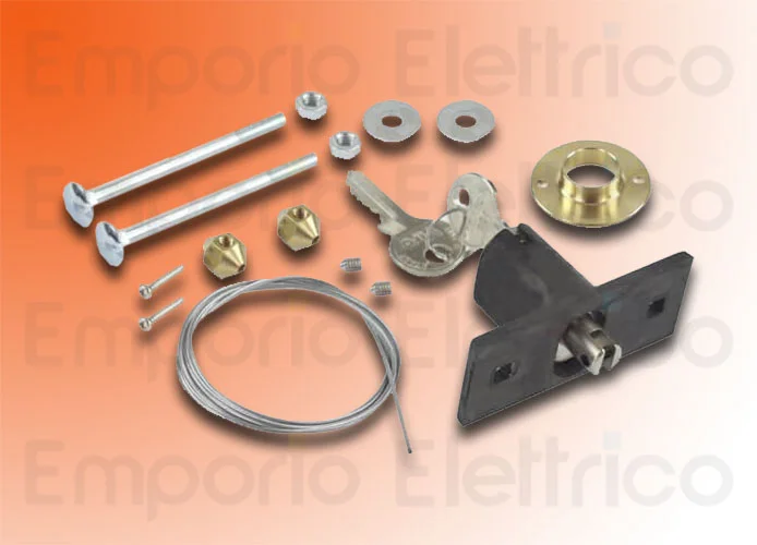 faac déverrouillage externe à clé (pour d600-d700hs-d1000) 424591001/36