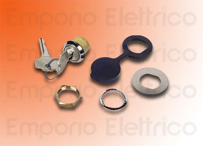 faac dispositif de déblocage avec clé personnalisée 424550001/50