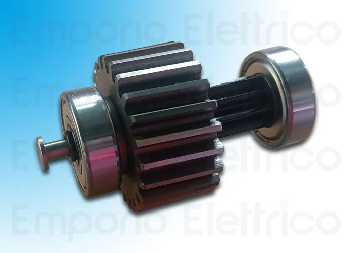 came pièce détachée arbre prèmiere réduction ferni 119rid384