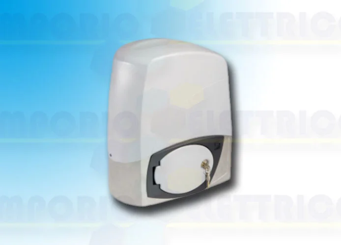 came page pièces détachées pour moteur 001bx-243v bx-243v