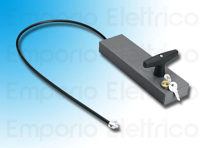 came poignée de déverrouillage avec clé personnalisée 001cms cms