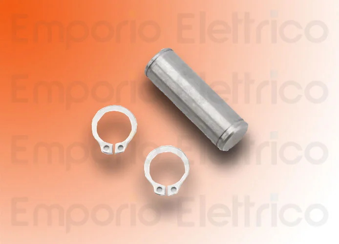 faac pièce détachée pivots fixation antérieur + seeger 718354