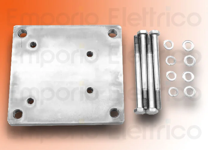 faac pièce détachée plaque de placement et tendeurs 750 63003324