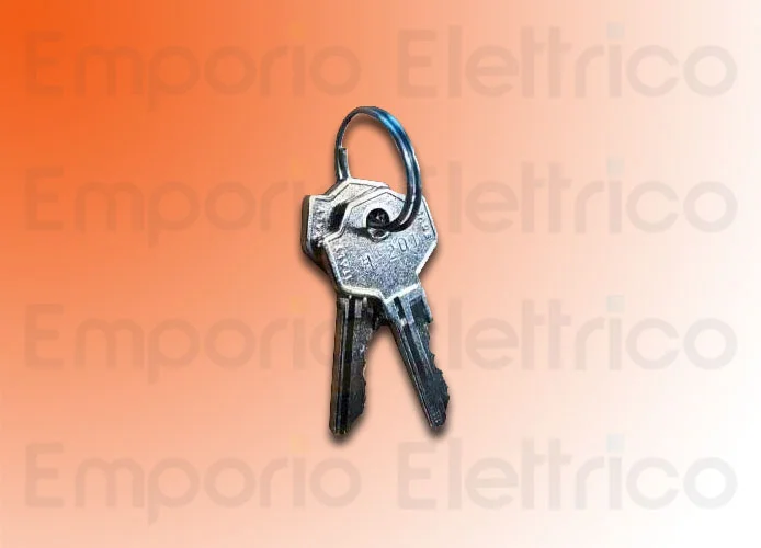 faac pièce détachée paire de clés chiffrées 770 n°201 713021