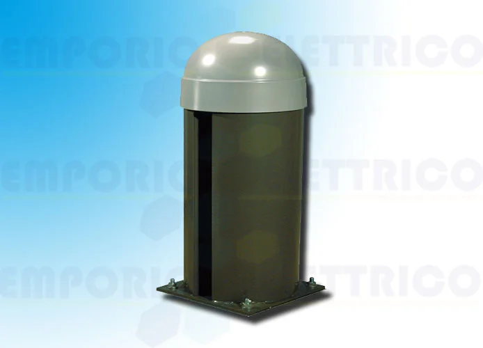 came page pièces détachées pour barrière à chaîne cat