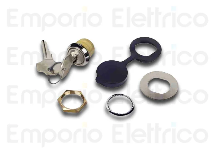 faac Aussenentriegelung mit persönlichem Schlüssel 424550001/50