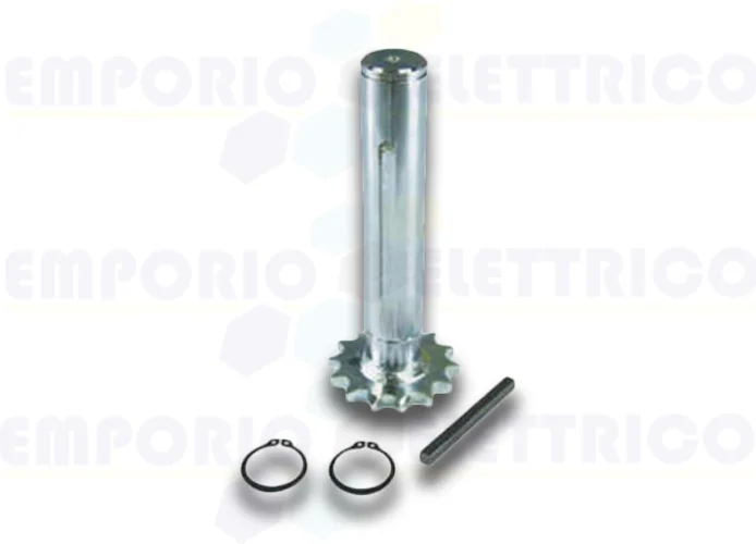 bft Ritzel zur Reduzierung von Industrietore pig 14/ulisse s 2610933 n733336